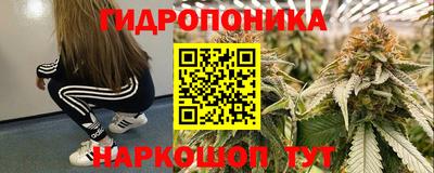 спиды Аргун