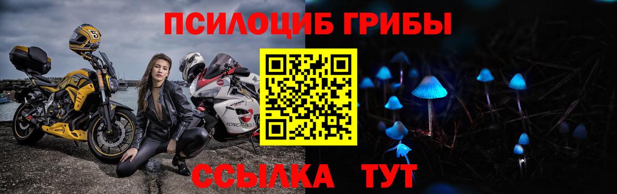 Ахтубинск  Псилоцибиновые грибы GOLDEN TEACHER  Псилоцибиновые грибы мухоморы  Вход с VPN 